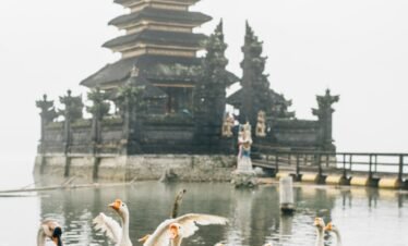 A flock of geese by a misty lake with a traditional temple in the backdrop, exuding tranquility.