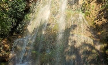 waterfalls in the middle of forest during daytime