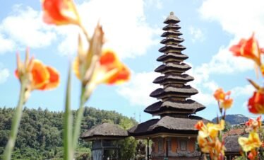 a pagoda in the middle of a field of flowers