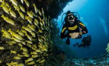 two people scuba diving underwater