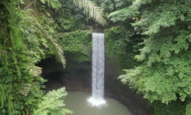 a waterfall in the middle of a forest