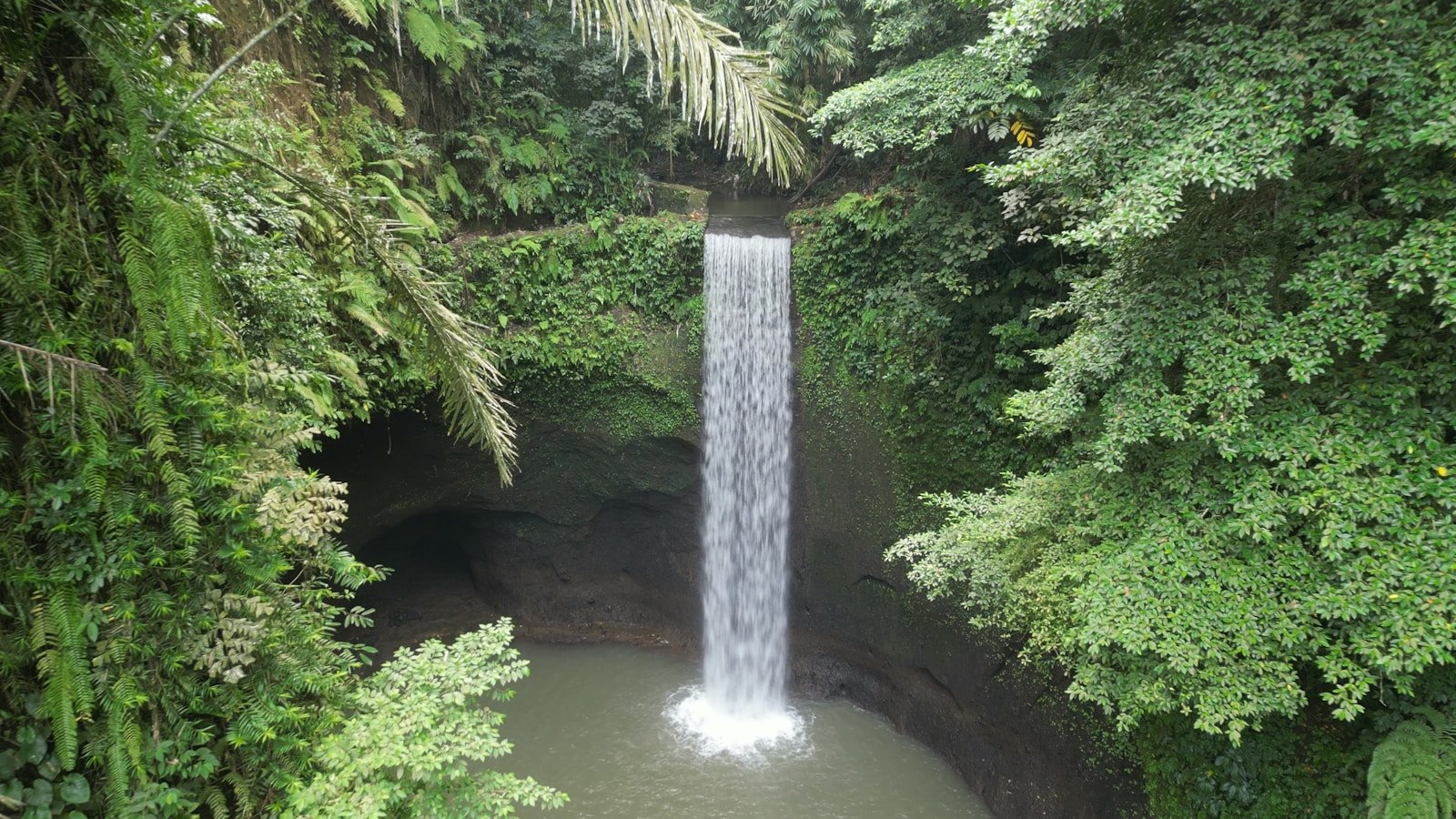 a waterfall in the middle of a forest
