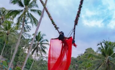a red scarf hanging from a palm tree