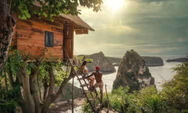 man in red t-shirt sitting on brown wooden ladder near green trees during daytime