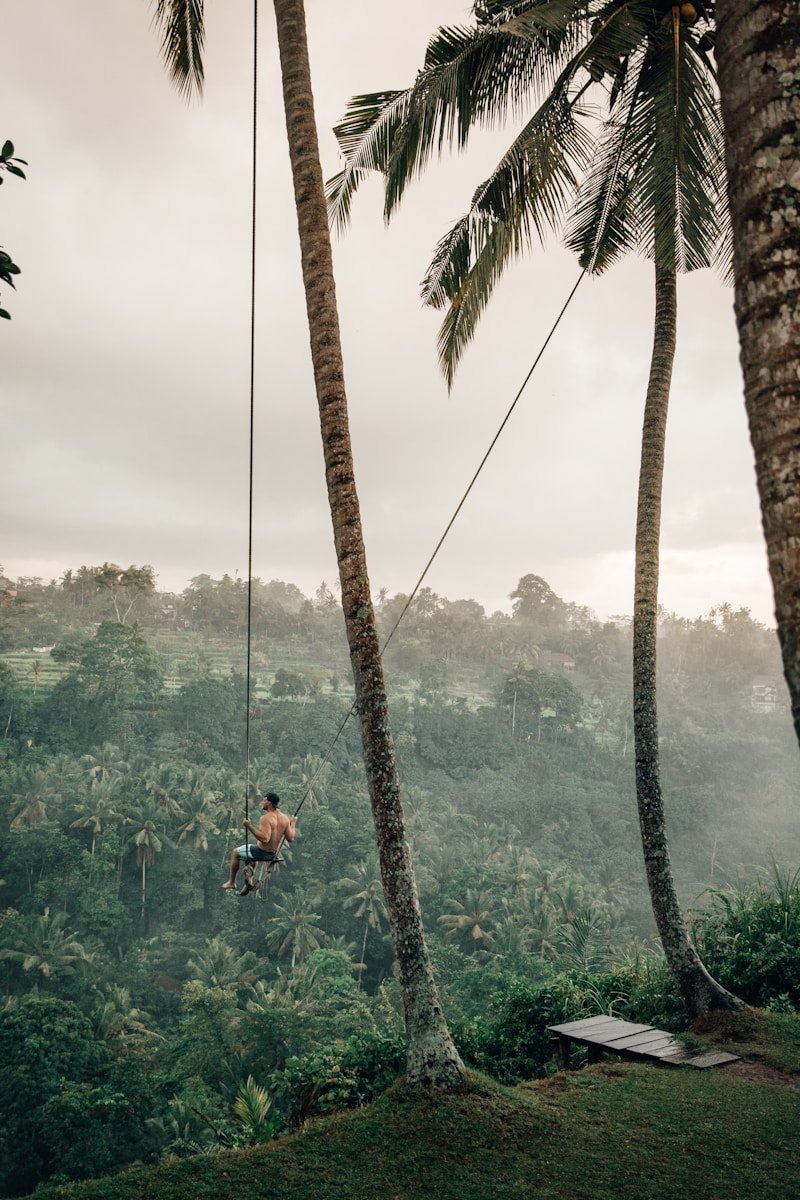 man riding swing near trees at daytime