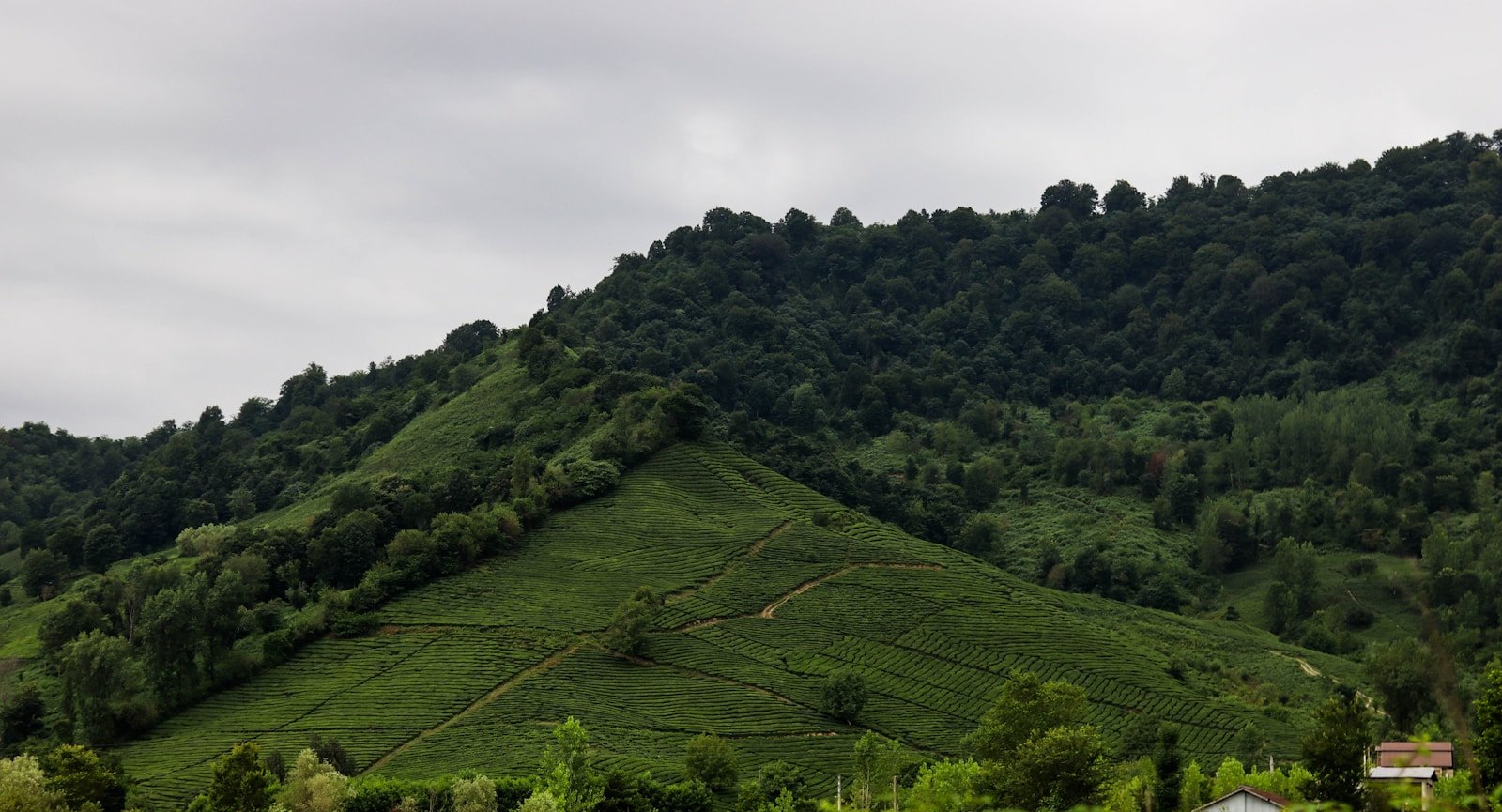 A lush, green mountain beneath a cloudy sky.