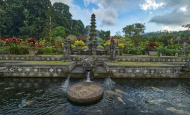 a pond with a fountain surrounded by fish