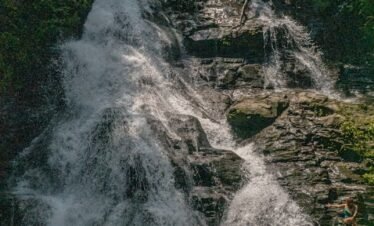 water falls in the middle of the forest