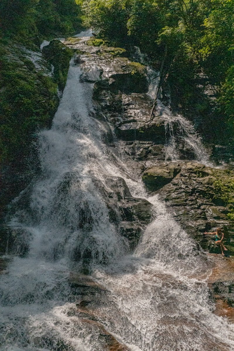 water falls in the middle of the forest