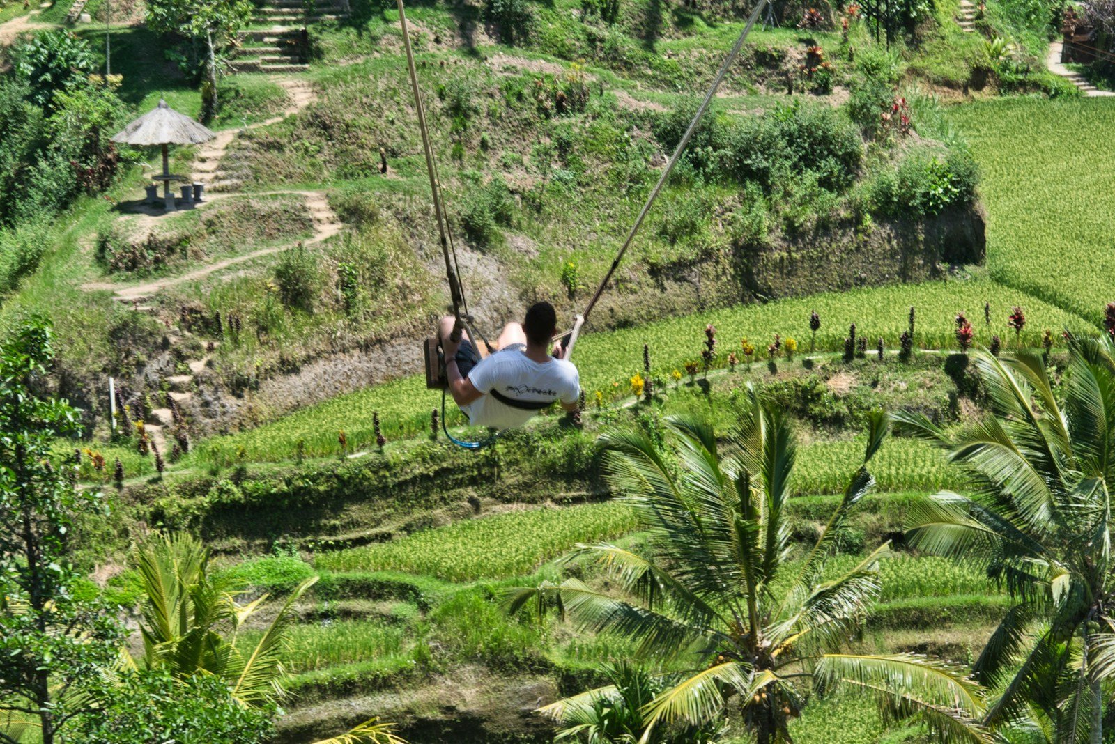 woman in white shirt sitting on green grass field during daytime