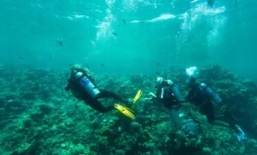 A group of people swimming over a coral reef